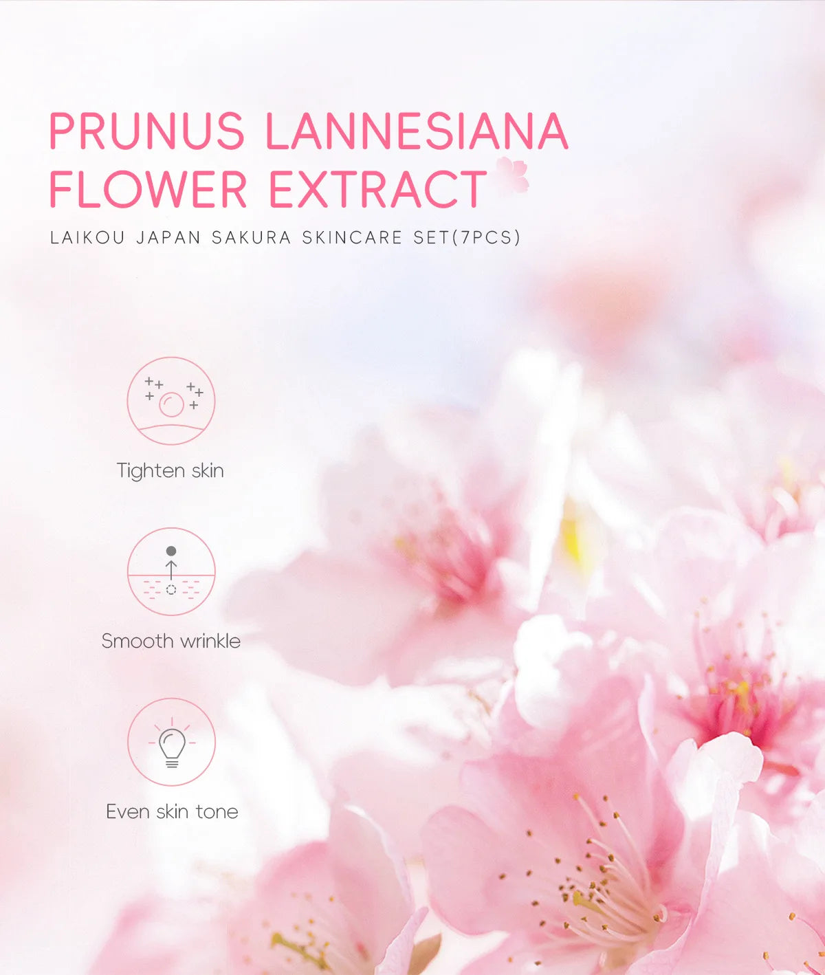 Sakura hydratation rituel